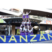 26KOALAS SPRING  PERFORMANCE