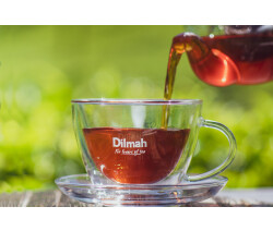 ワークショップ｜紅茶講座