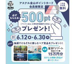 アスナル金山ポイントカード会員様限定 〈アスナル金山 お買物券500円分相当〉 必ずもらえる！500ptプレゼント（夏）